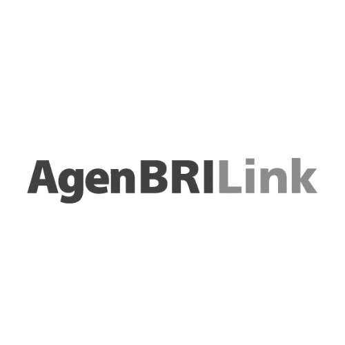 BRILink Logo